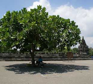Plac przed świątynią Prambanan