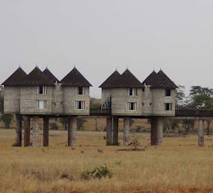 Saltlick Lodge in Tsavo West