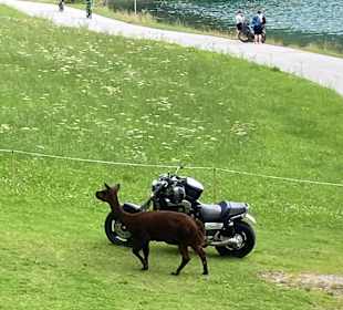 Wandern Bruck a Ziller