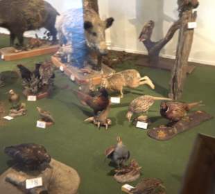 Natur- und Jagdmuseum