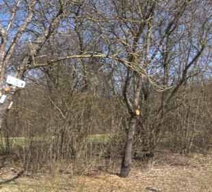 Premiumwanderweg "hochgeblickt"