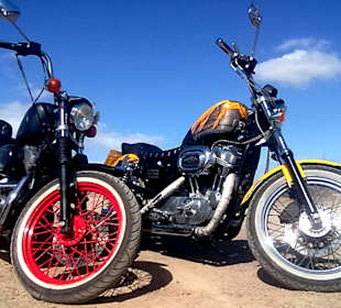 Harley Davidson Leihmotorrad - Motorradvermietung