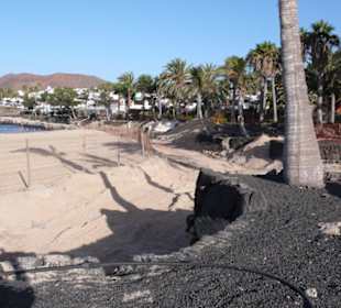 Playa Flamingo
