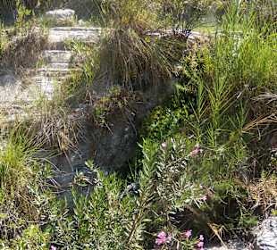 Fußweg zum Wasserfall (Adonis Baths Waterfalls)