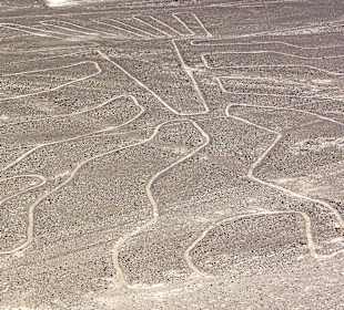 Aussicht Torre Mirador de las Lineas de Nasca
