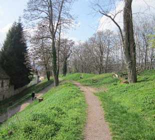 Stadtmauerweg