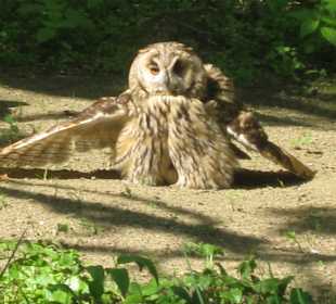 Naturpark Eulen