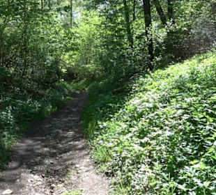 Premiumwanderweg Hochgehschätzt