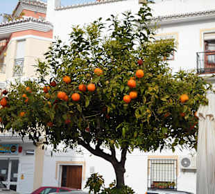 Nerja