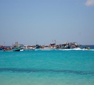 Bootsregatta zum Hafenfest