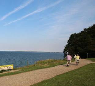 Spazierweg auf der Hermannshöhe