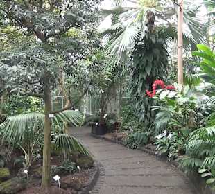 Tropicarium - Feuchte Tropen