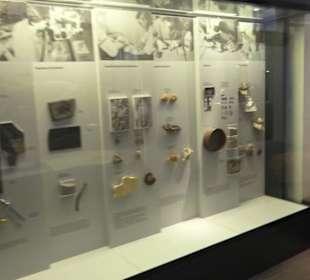 Paläontologisches Institut und Museum