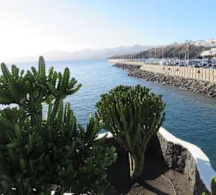 Spaziergang an der Promenade