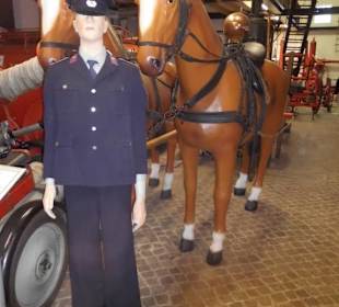 Sogar mit Modell Pferd