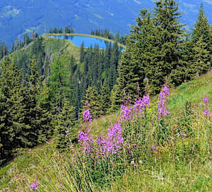 Traumhafte Ausblicke auf allen Wanderungen