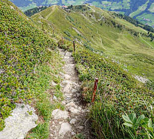 Wandern Reith im Alpbachtal