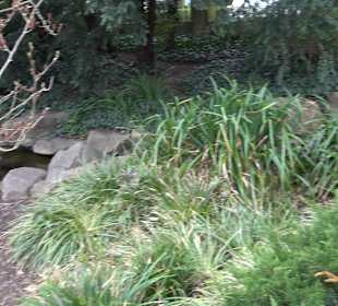 Zoologischer Stadtgarten