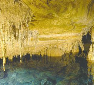 Drachenhöhlen (Nofrills - Excursions)