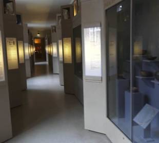 Museum für Völkerkunde