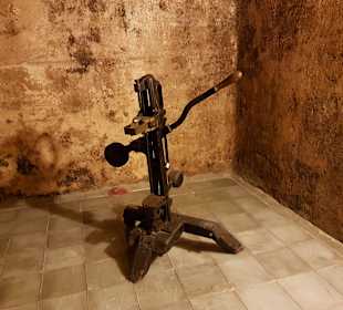 Weinmuseum und Kakteen-Ausstellung El Grifo