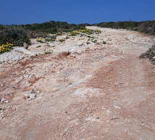 Nationalpark Kap Greco