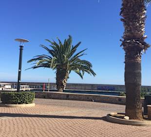 Hafen Cala Ratjada