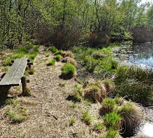 Impressionen aus der Gellener Torfmöörte