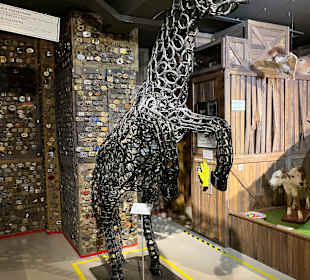 Museum Ripley's Believe It or Not!