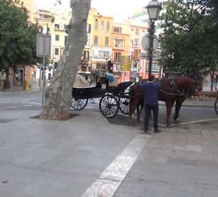 Plaça de la Reina