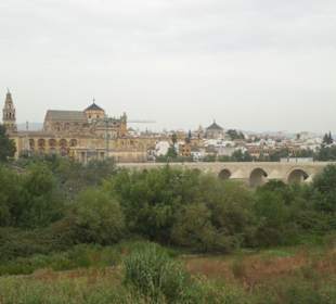 Cordoba