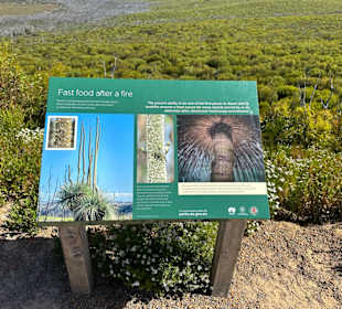Flinders Chase National Park