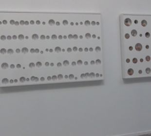 Real Jardín Botánico de Madrid