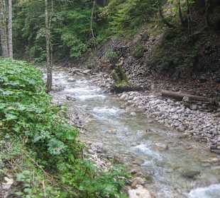 Söllbachtal