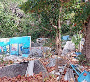 Ao Sane Februar / März 2023