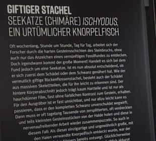 Dinosaurier Museum Altmühltal