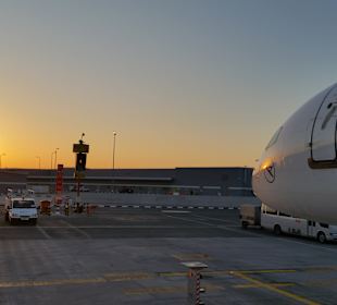 Ankunft am Flughafen Dubai