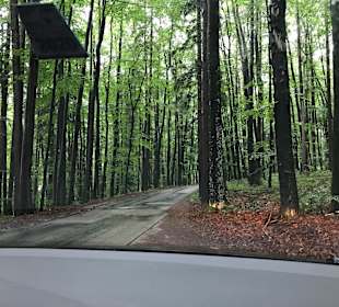 Wandern Puch bei Hallein