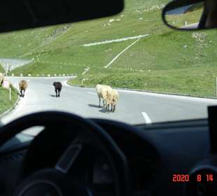 Großglockner Hochalpenstrasse 