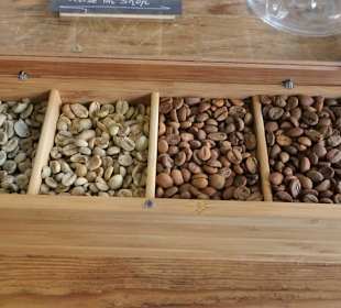 In den Räumen von Kaffee Burg