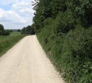 Klimaweg Sonnenalb