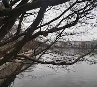 Jungfernstieg