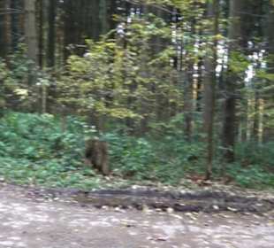 Geschichtslehrpfad Streichen