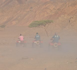 Quadtour Desert