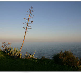 Abendstimmung an der Ponta da Piedade