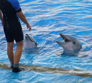 Die hörten aufs Wort