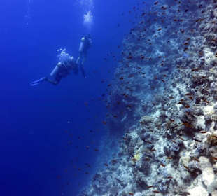 Jasmin Diving Center