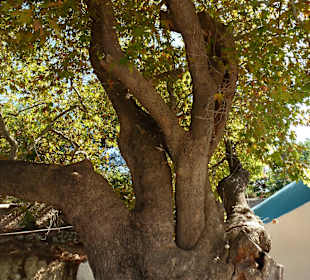 Der Süden bei Kefalos