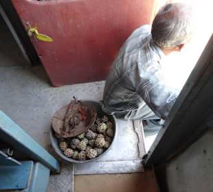 Pause, fliegender Verkäufer