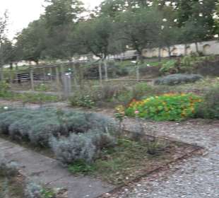 Klosterpark Altheim